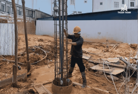 Hạ lồng thép