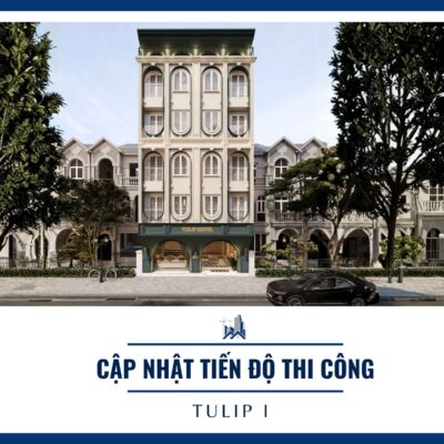 Cập nhật tiến độ tại Tulip I
