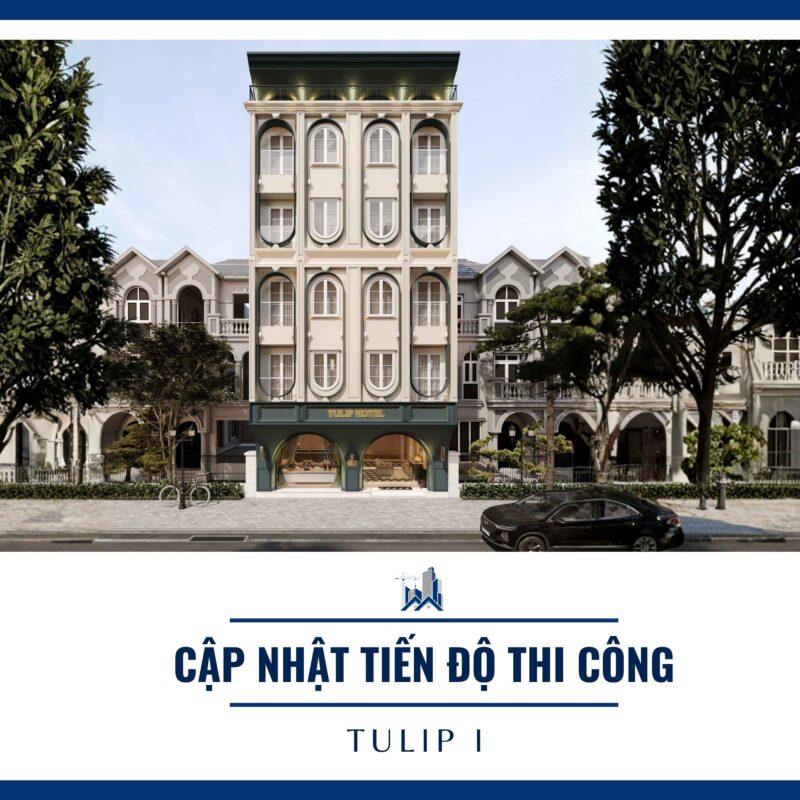 Cập nhật tiến độ tại Tulip I